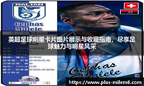英超足球明星卡片图片展示与收藏指南，尽享足球魅力与明星风采