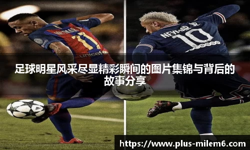 米乐体育官方网站